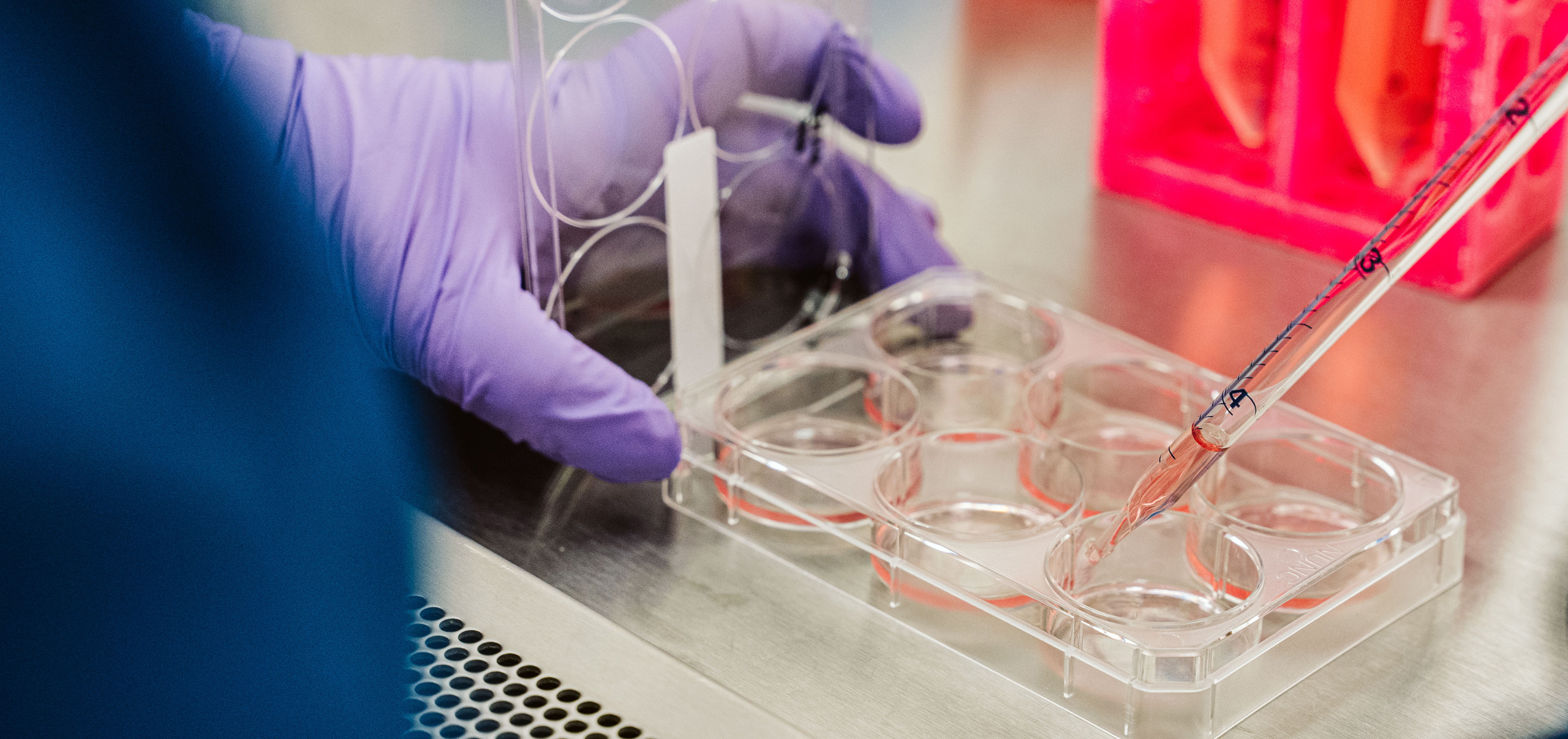 Cell culture and bioreactor research in the laboratory